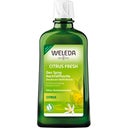 Weleda Citrus 24h Deo Spray wkład - Op. uzupełniające, 200 ml