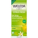Weleda Citrus 24h Deo Spray wkład - Op. uzupełniające, 200 ml