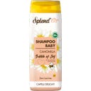Splend'Or Shampoo Baby - 750 ml