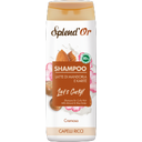 Splend'Or Let's Curly Shampoo