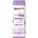Splend'Or Hydra Boost Conditioner