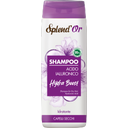 Splend'Or Hydra Boost Shampoo