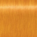 Schwarzkopf Professional Igora Vibrance - 0-55 Gold Concentrate