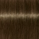 Schwarzkopf Professional Igora Royal - Permanent Color Crème - 6-31