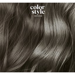 Indola Color Style Mousse New - Dunkel Asch