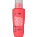 Champú moldeador Rizos, 100 ml