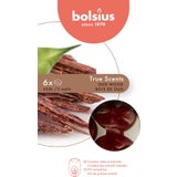 bolsius Paquete de 6 Waxmelts True Scents