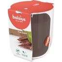 bolsius Vonná sviečka True Scents (malá) - Oud Wood