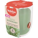 bolsius Vonná sviečka True Scents (malá) - Rosemary