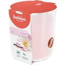 bolsius True Scents Large Scented Candle - Magnolia