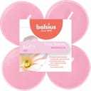 True Scents Maxi Geurtheelichten (8 uur) - 8 stuks - Magnolia