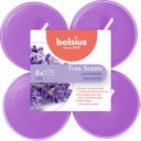 True Scents Maxi Lámparas de Té Perfumadas 8h (8 uds.) - Lavender