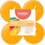 True Scents Maxi Duft-Teelichter 8h (8 Stk.)