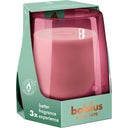 bolsius CleanLight - zestaw startowy - Drzewo cedrowe i wetiwer