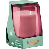 bolsius CleanLight Starterkit