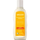 Replenish & Care Oats Shampoo, 190 ml