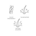 System Professional LipidCode Purify Shampoo (P1) - 250 ml