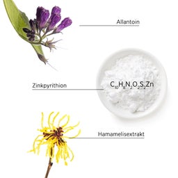 System Professional LipidCode Purify Shampoo (P1) - 250 ml