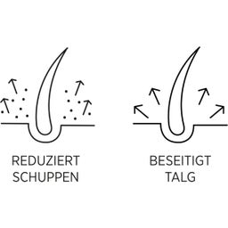 System Professional LipidCode Man Anti-Dandruff Shampoo (M1D)