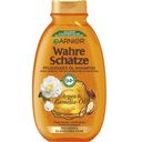 Botanic Therapy negovalni šampon z oljem argana in kamelije - 300 ml