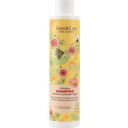Shampoo Colour Shine - Olio di Argan/Fico - 300 ml