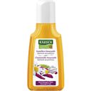 RAUSCH Repair Shampoo with Chamomile & Amaranth - 40 ml