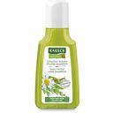 RAUSCH Care Shampoo with Swiss Herbs  - 40 ml